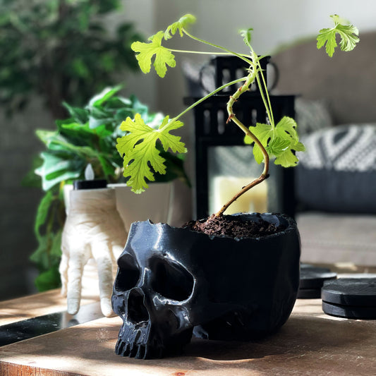 Skull Bowl/Planter